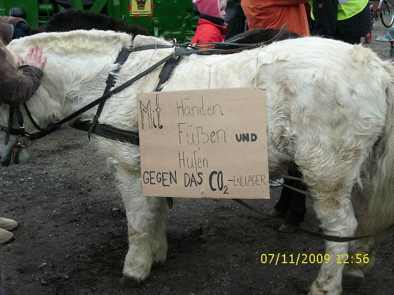 Oktober 2009 047.JPG
